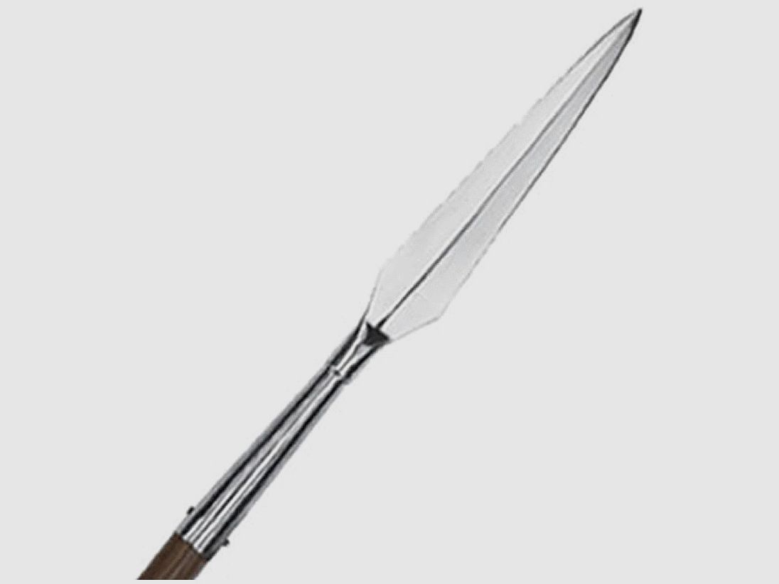 Speerspize Römischer Langspeer