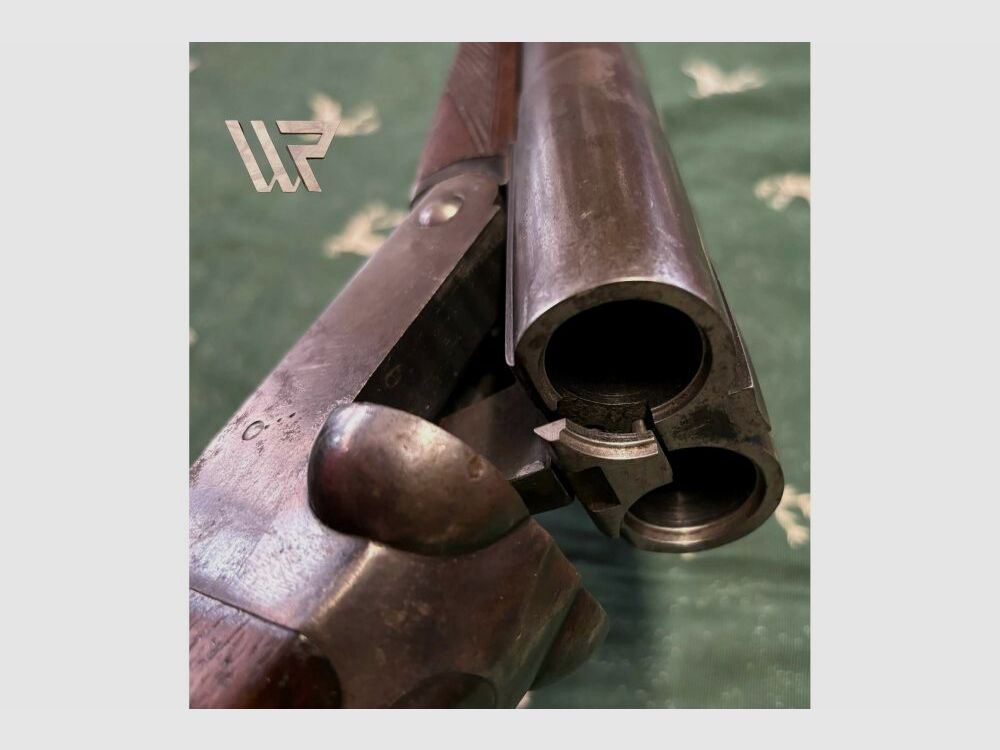 Fosil Robust Brevek - 12/65