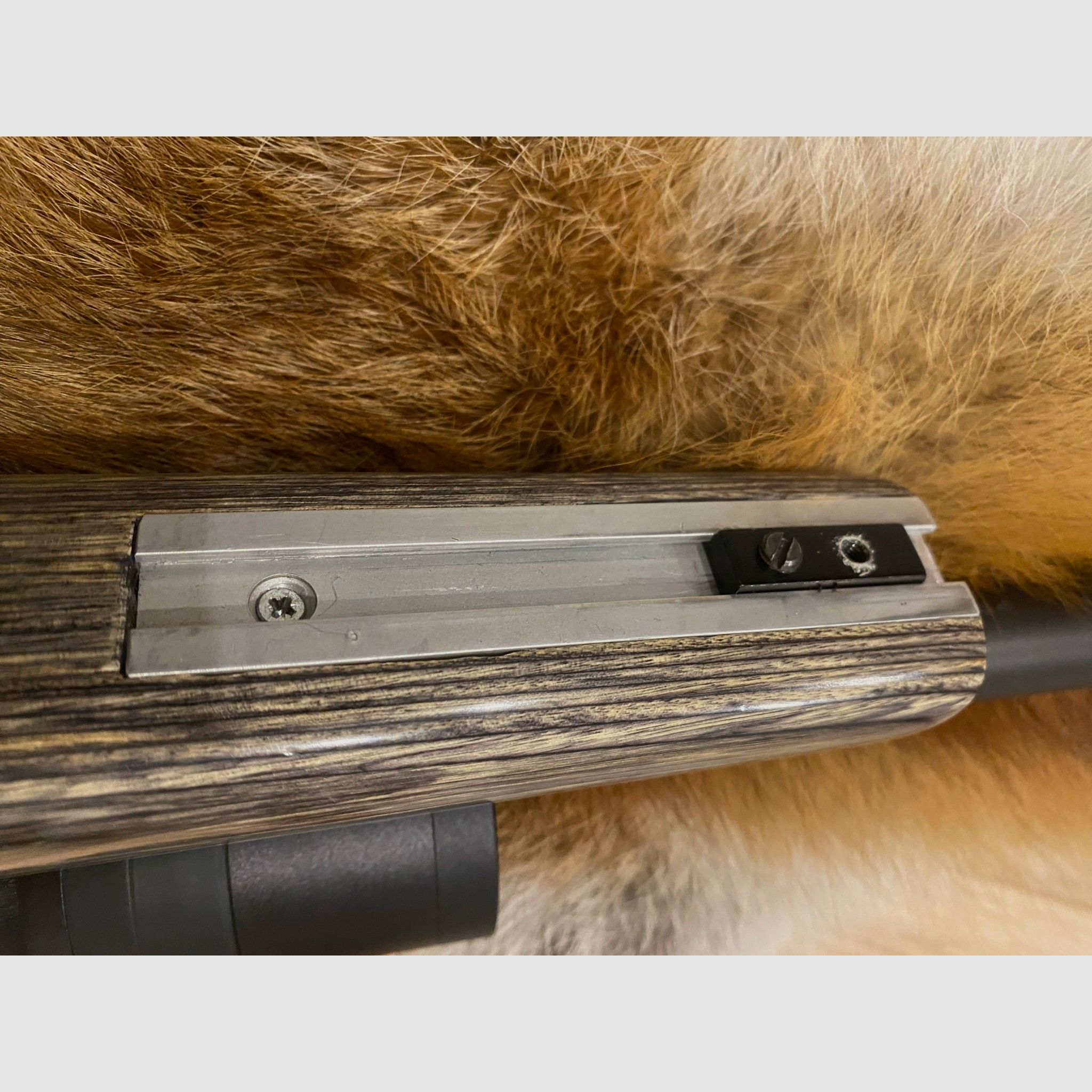 CZ 527 Varmint Schichtholzschaft Kal. 223