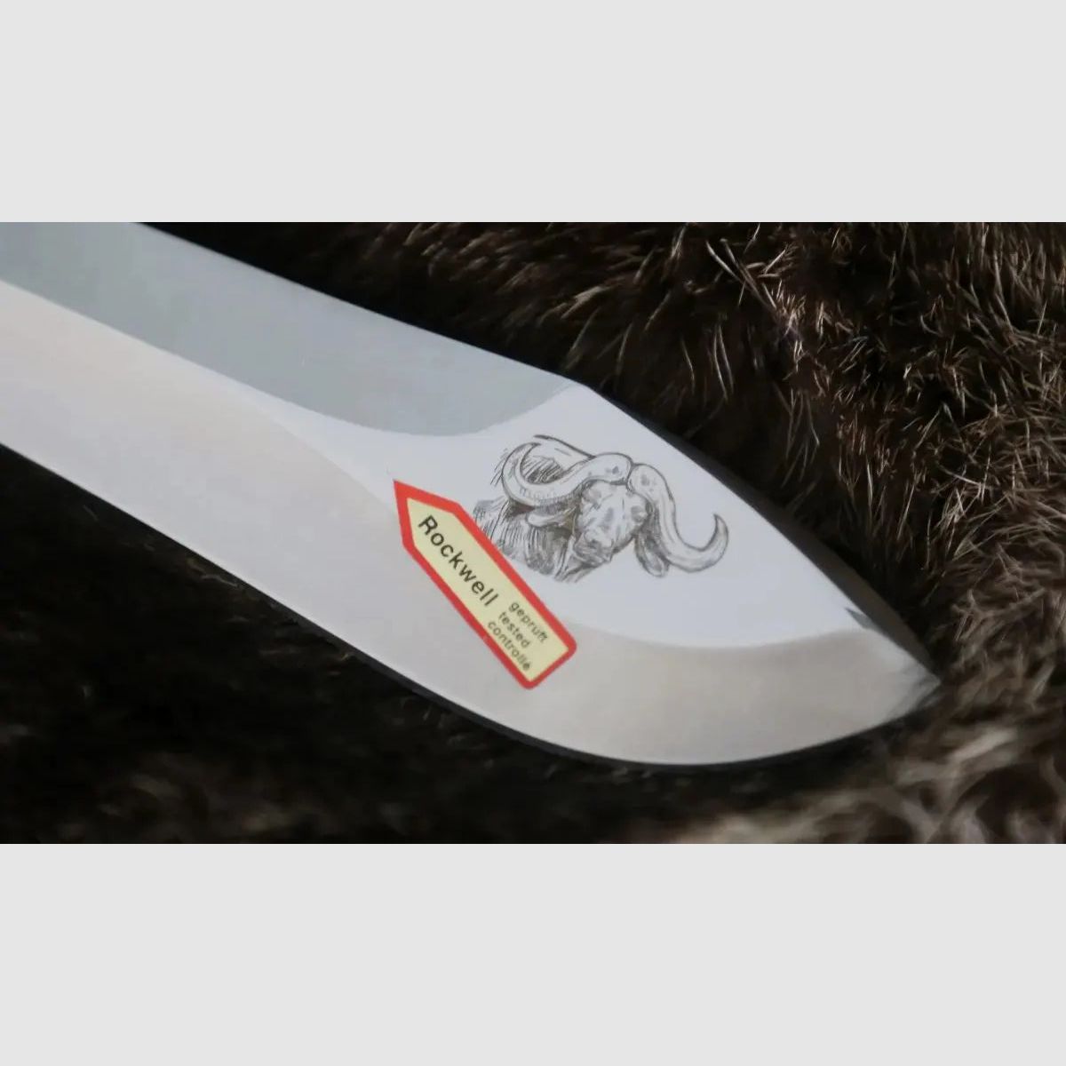 PUMA cazador blanco, cuerno de búfalo