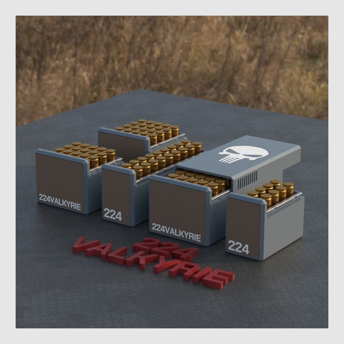 Filamelt Munitionsbox / Ammo Box .224 Valkyrie – Patronenbox für 50 Schuss, Made in Germany