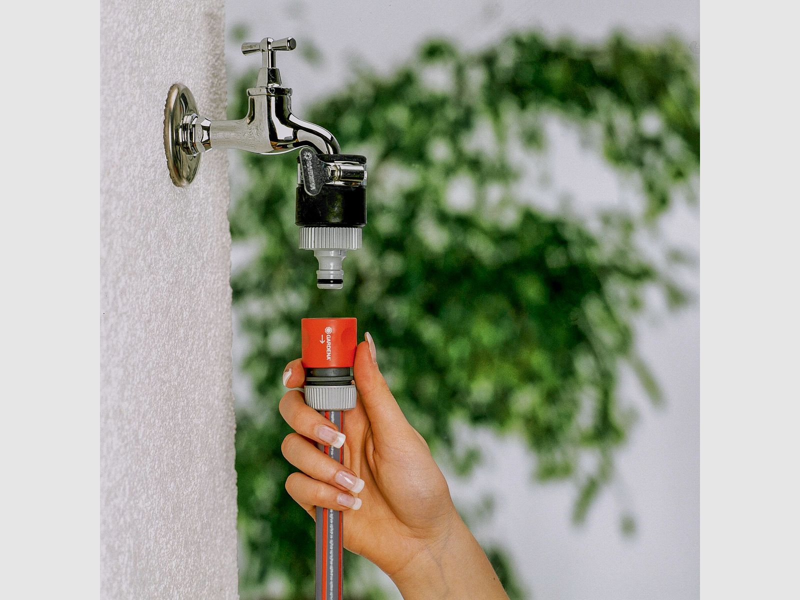 SB Water Thief, image 1 of 3