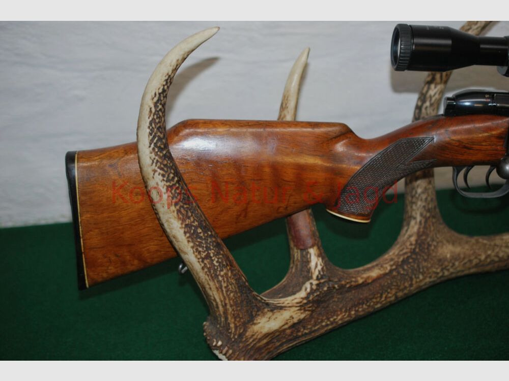 Mauser 2000