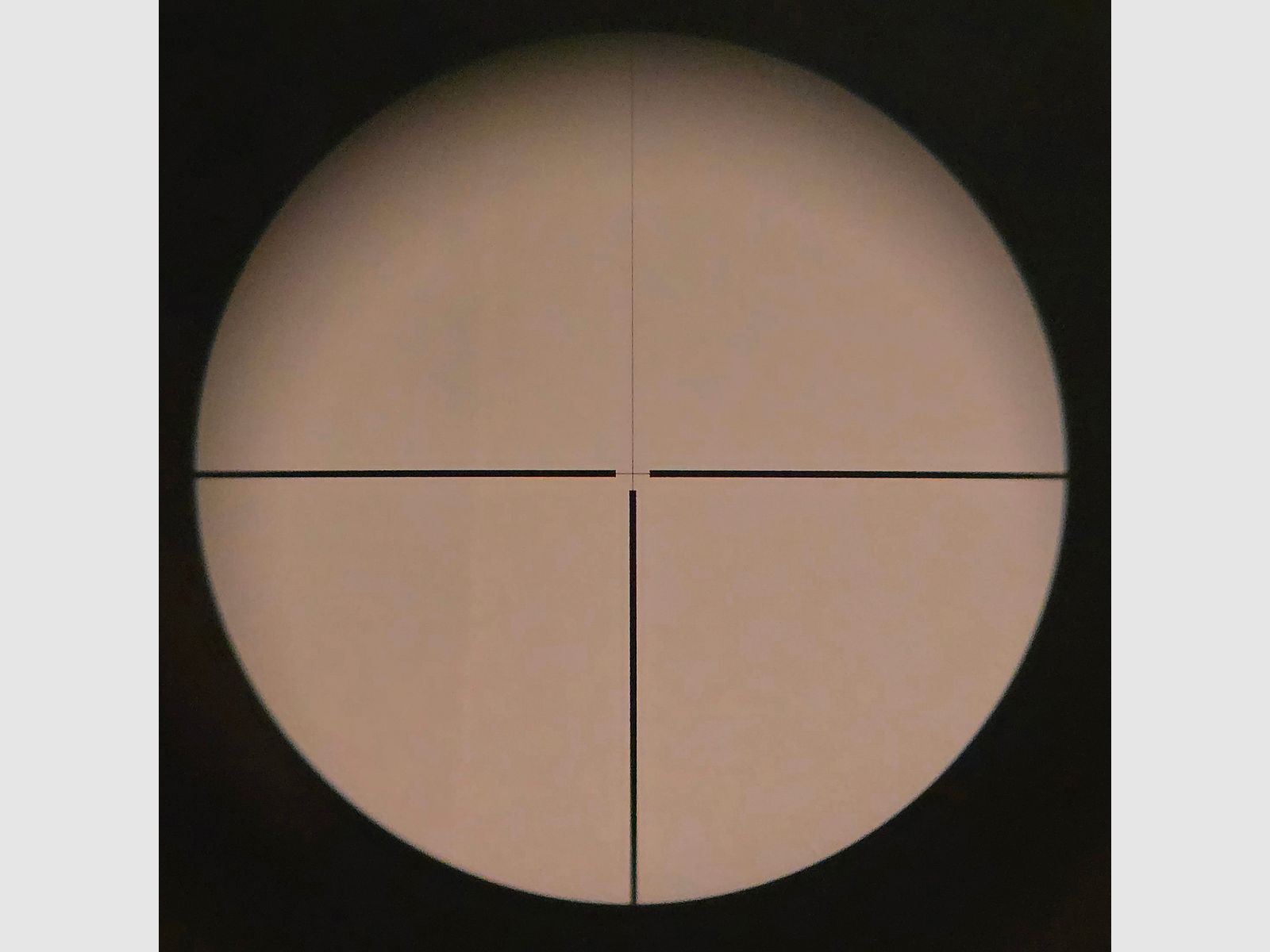 Zeiss Diavari 1.5-6x42 T* (Reticle 8, 1st focal plane) with Zeiss internal rail