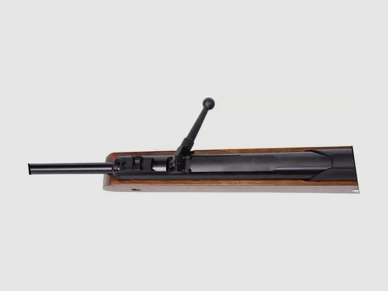 Luftgewehr, Diana Oktoberfest