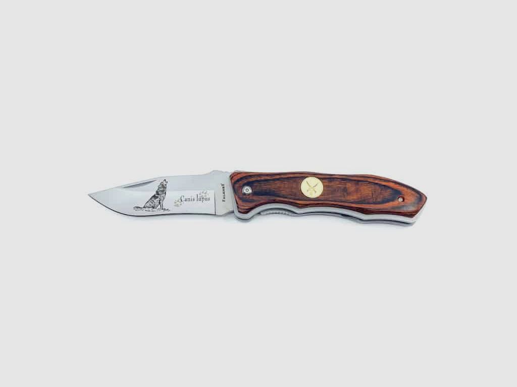 Falkner Canis Iupus, Occasion, Bild 1 von 3