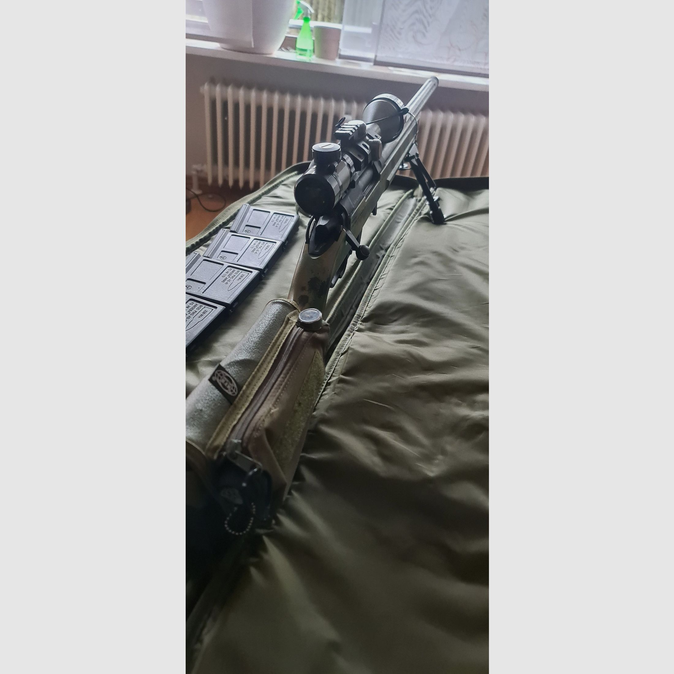 Ares Striker S1 | CO2 Umbau | Edgi Lauf | uvm. in der Beschreibung