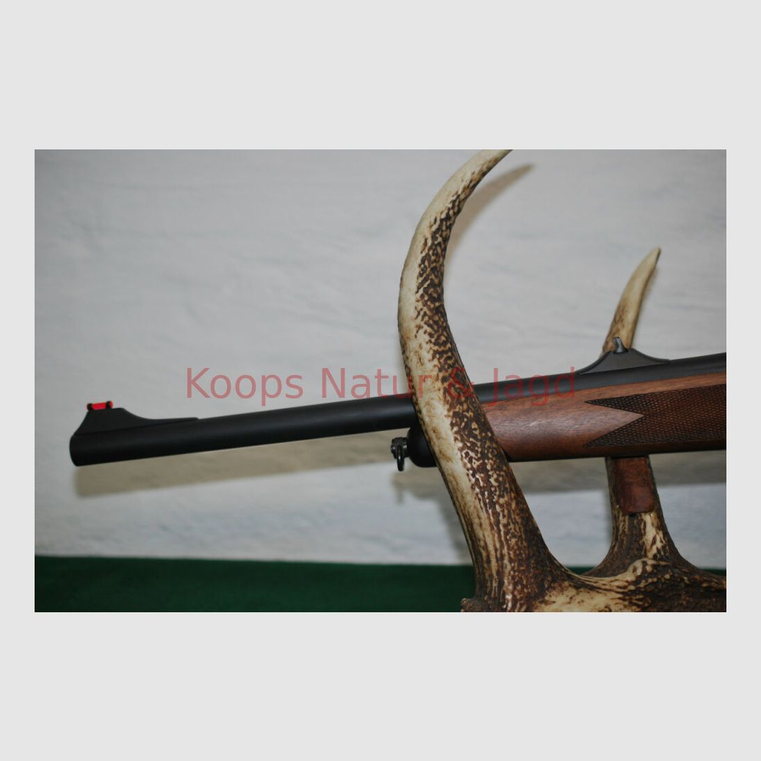 Sauer 202 Forest