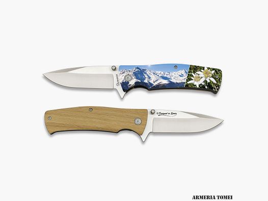 COLTELLO – ALBAINOX – 3D STELLA ALPINA