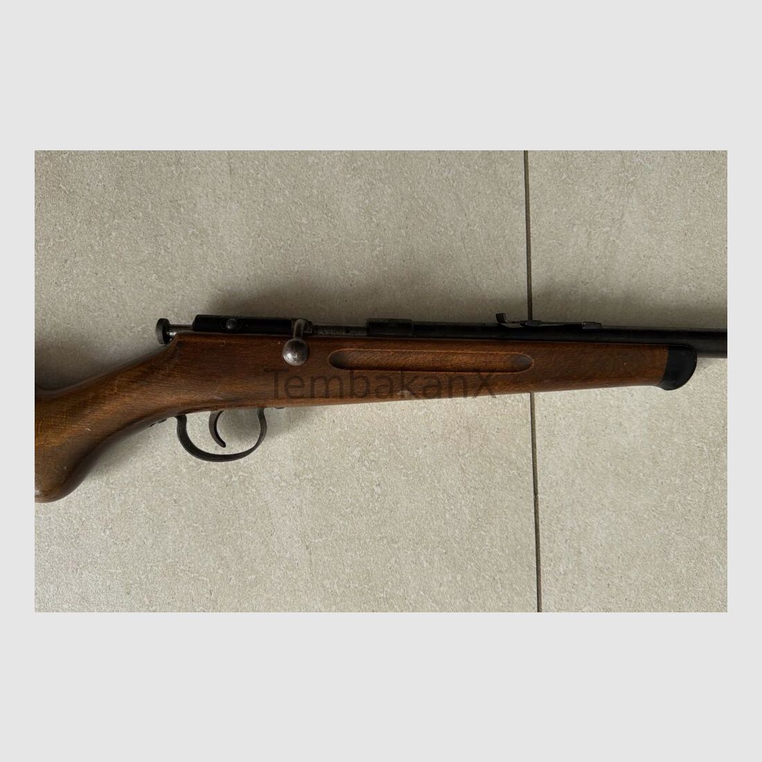 Anschütz .22lr