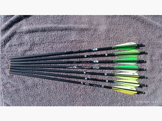Armbrust Bolzen 20 Zoll GoldTip Laser 2 Flatnock