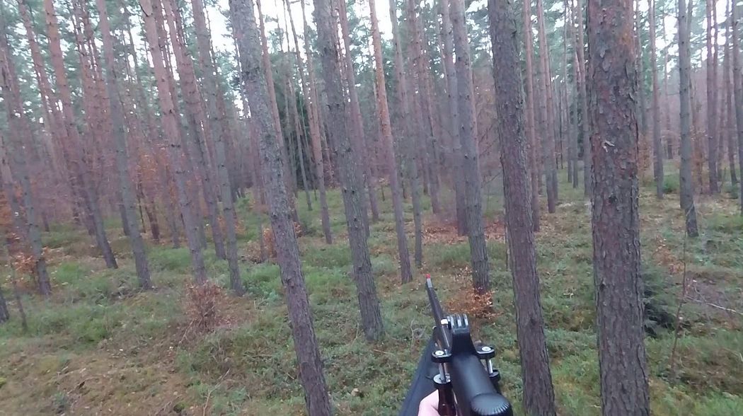 Drückjagdsaison 2017-18