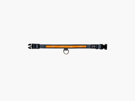 Obroża Blaser LED Dog Collar