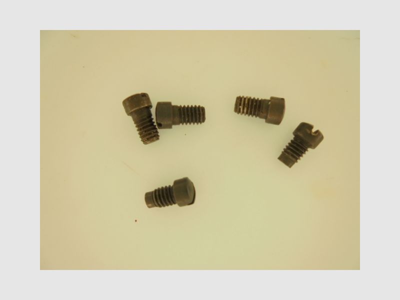 VITE PIASTRA BRONZO TIPO 2 SMITH&WESSON, immagine 2 di 4