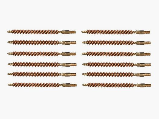 12 brosses en bronze .223/5,56mm CF fusils