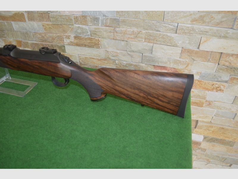 Sauer S 101 Artemis *