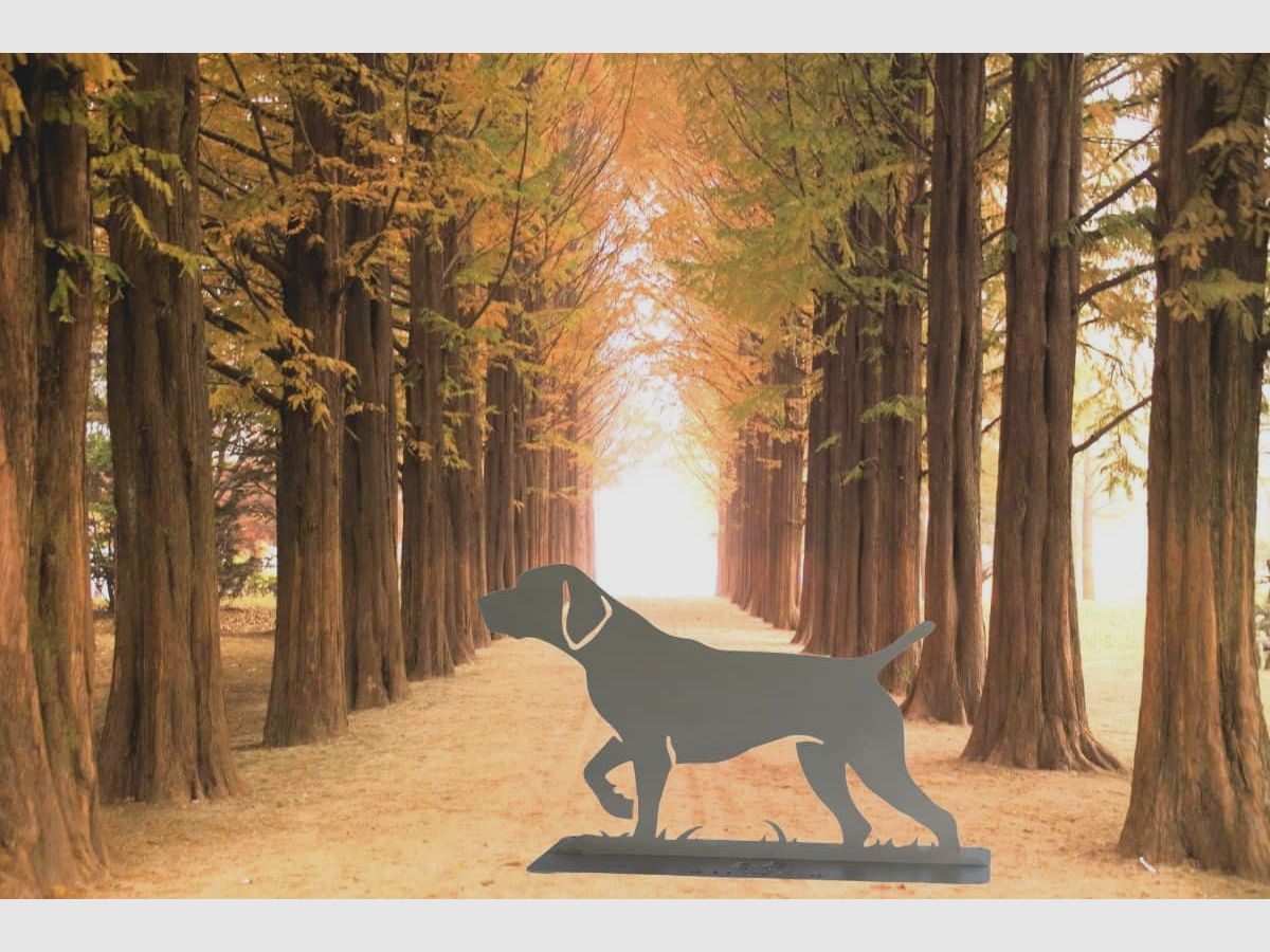 Beeld "Voorstaande Hond