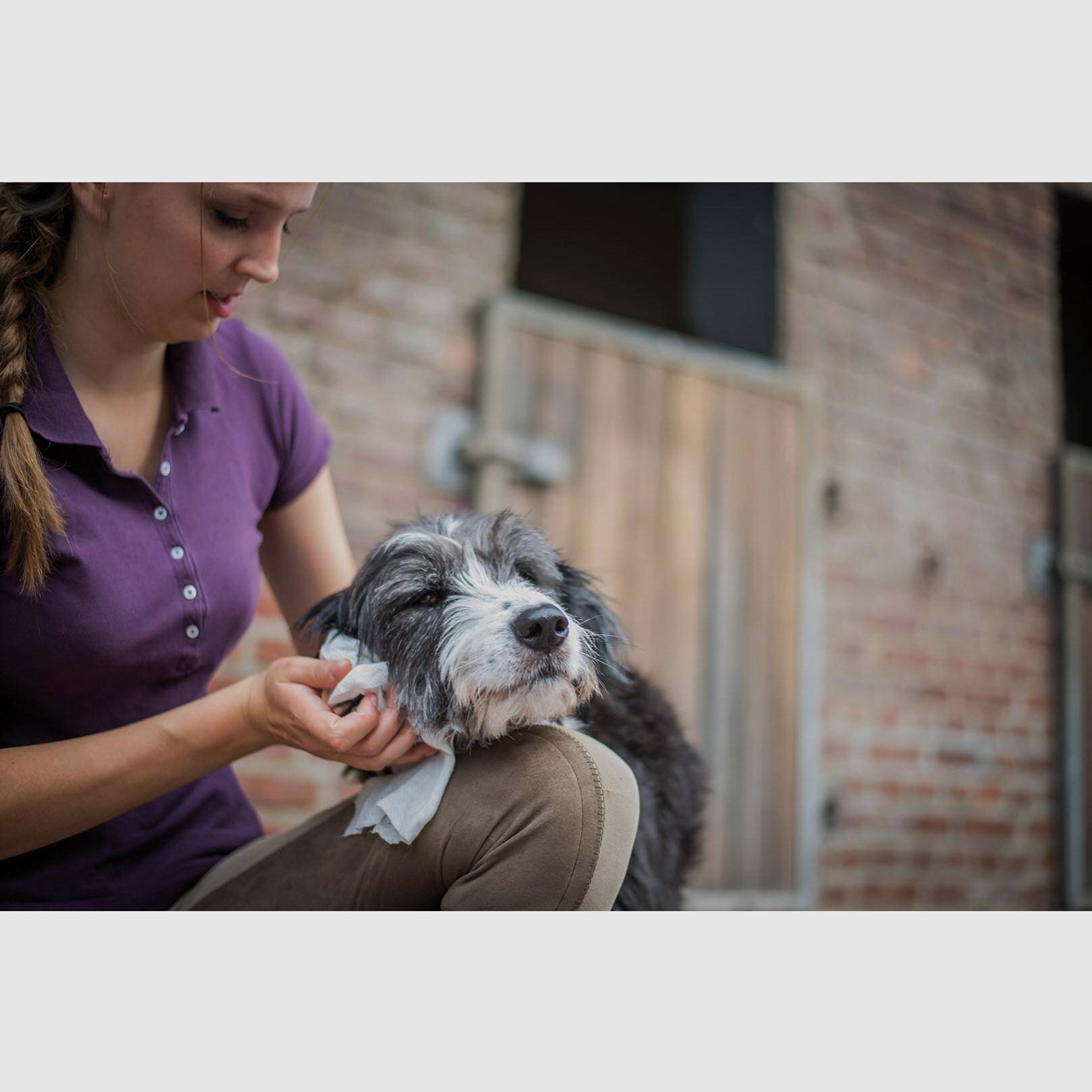 BALLISTOL ANIMAL getränktes Tuch, Bild 6 von 9