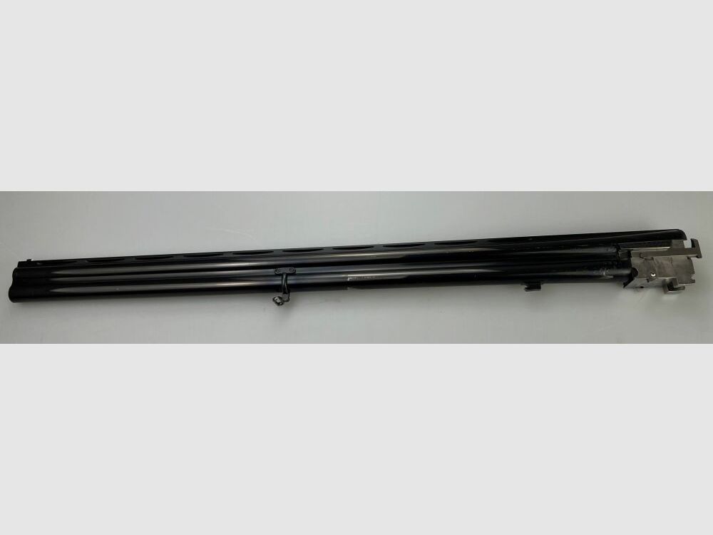 Rottweil	 720 Trap