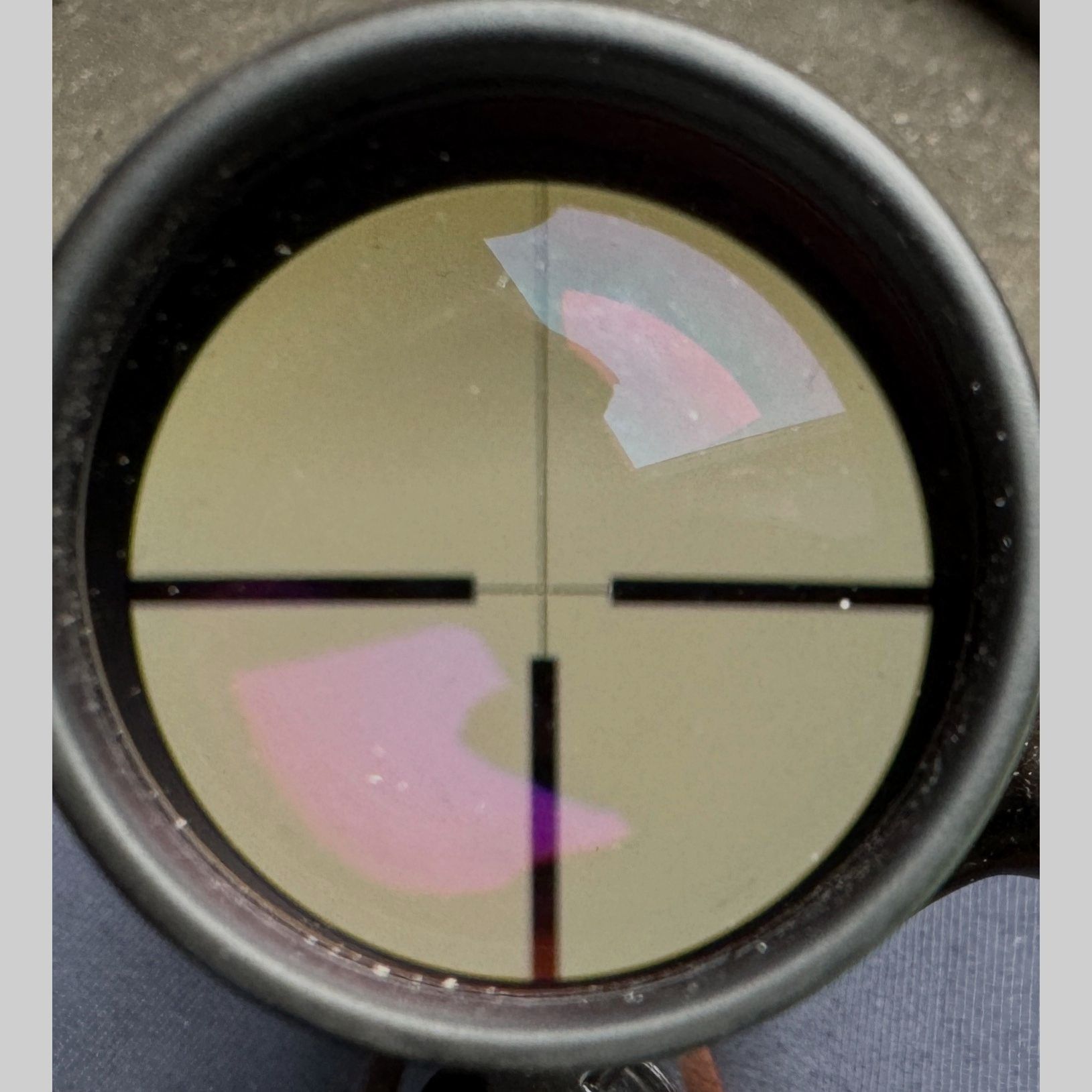 Krico Match mit Zeiss 2,5-10x50 T* mit ASV
