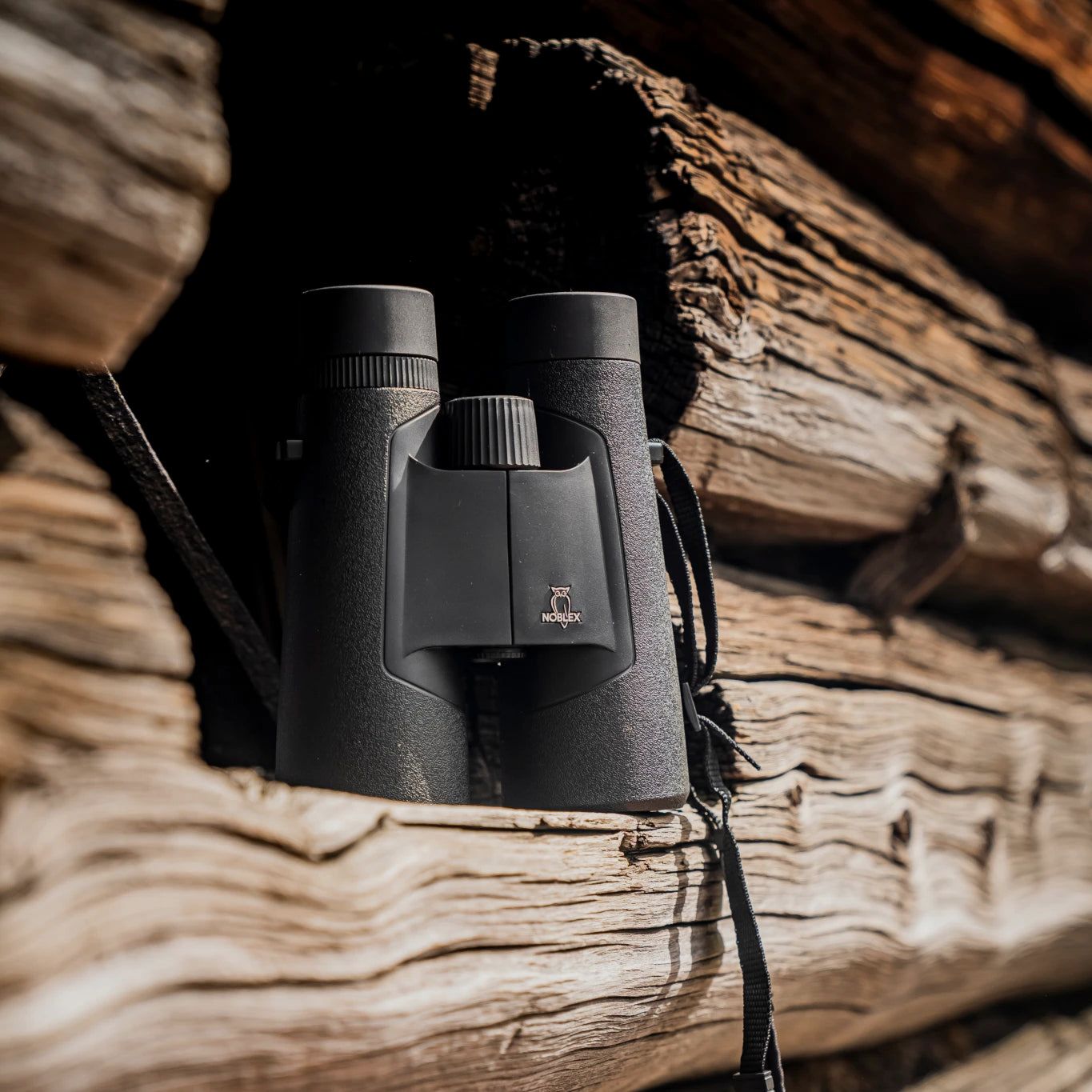 NF 8x56 inception | refurbished