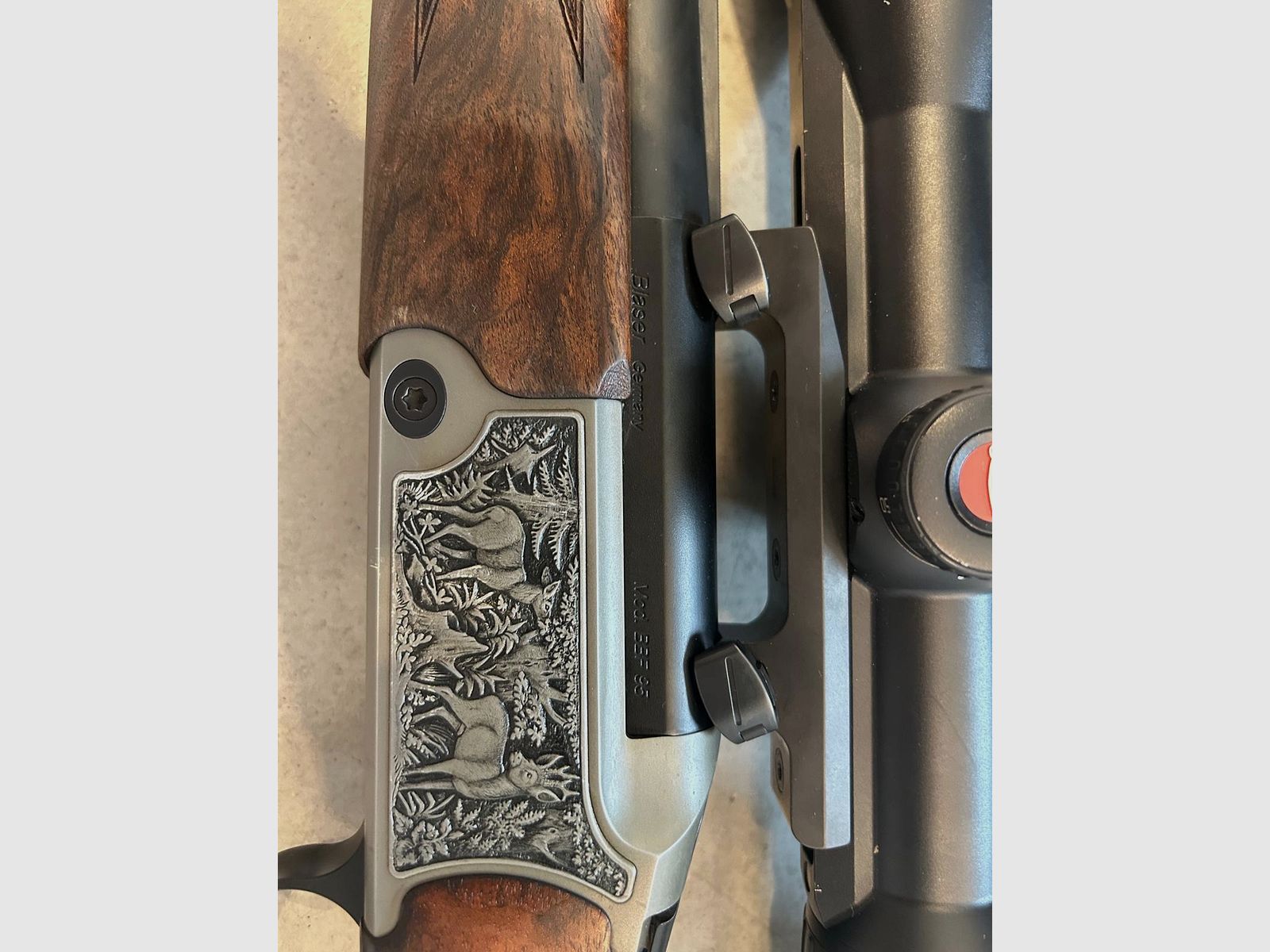 Blaser BBF 95, 270 Win / 12/70 mit Einstecklauf .222