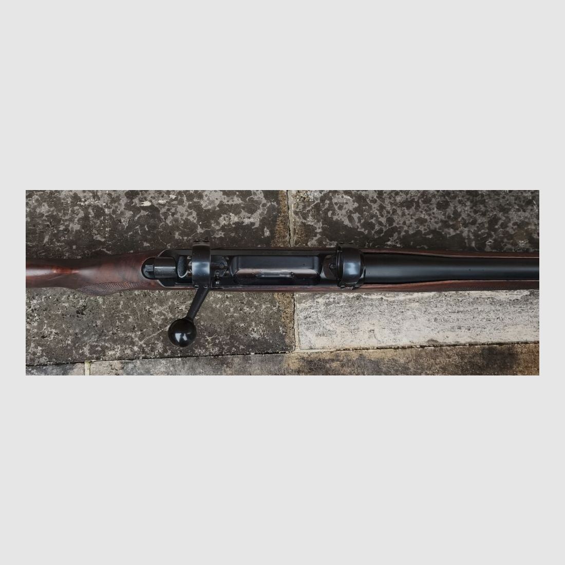 Sauer 200