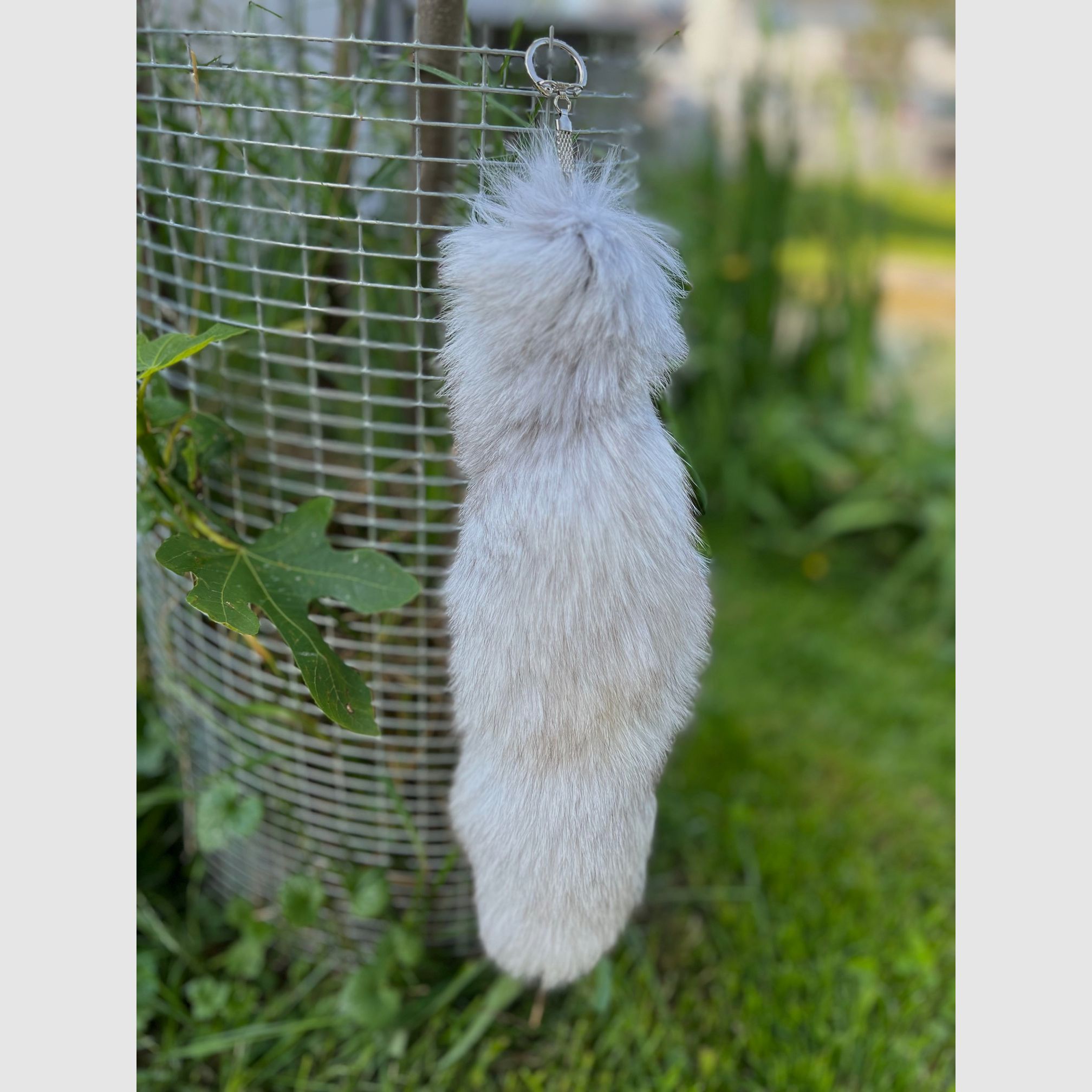 Echte Arctische Fuchsschwanz met sleutelhanger, afbeelding 3 van 3