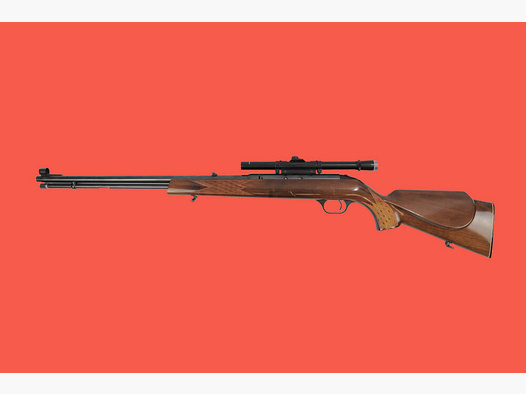 Anschütz Savage Mod. 6P-M