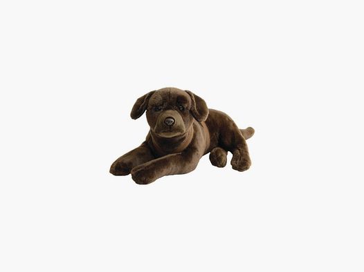 LABRADOR CHOCOLAT NATURE DE BRENNE 50 CM