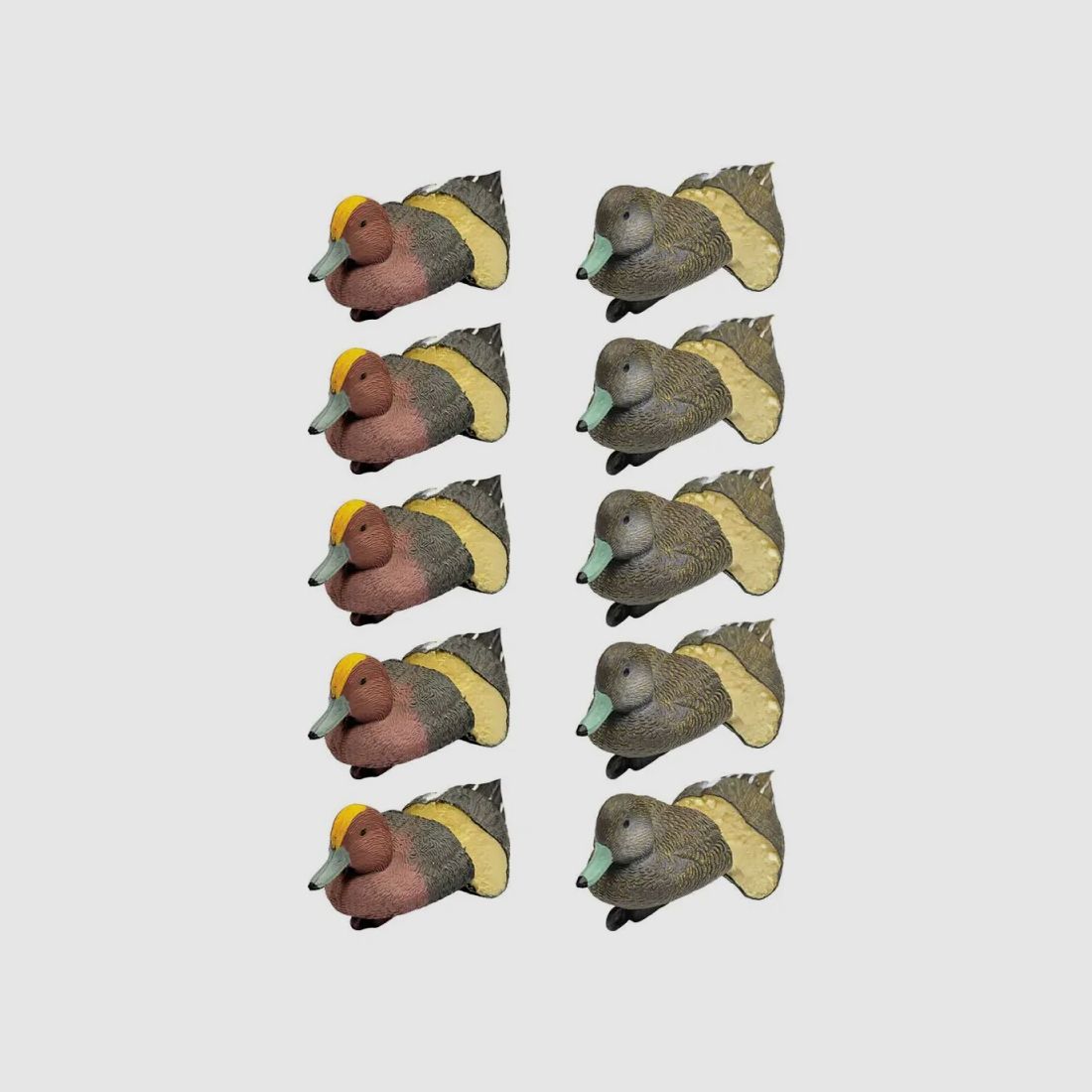 Pack 5 siffleurs mâles et 5 femelles moussés, image 1 sur 2