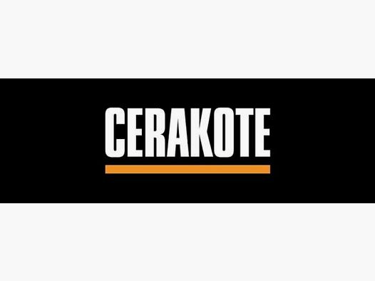 T'n T Triebel Coatings Extra: Cerakote 3 Color Camouflage for Pistol/Revolver