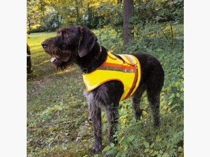Chaleco reflectante para perros - varios tamaños