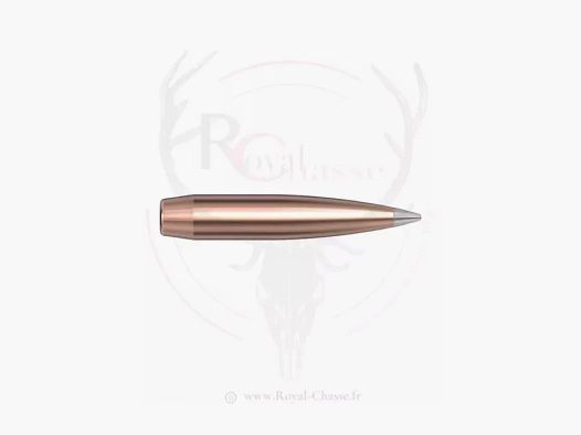 100 ogives Cal.25 D.257 138Grs A-TIP MATCH HORNADY