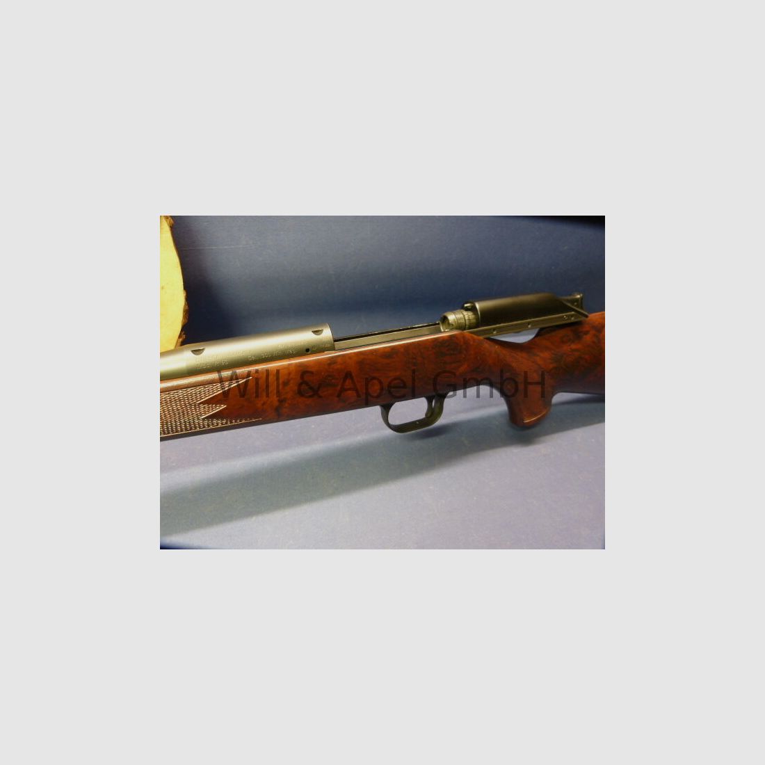 BLASER/ ISNY R93 TIMBER