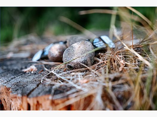 Nash Flat Pear Karpfenblei