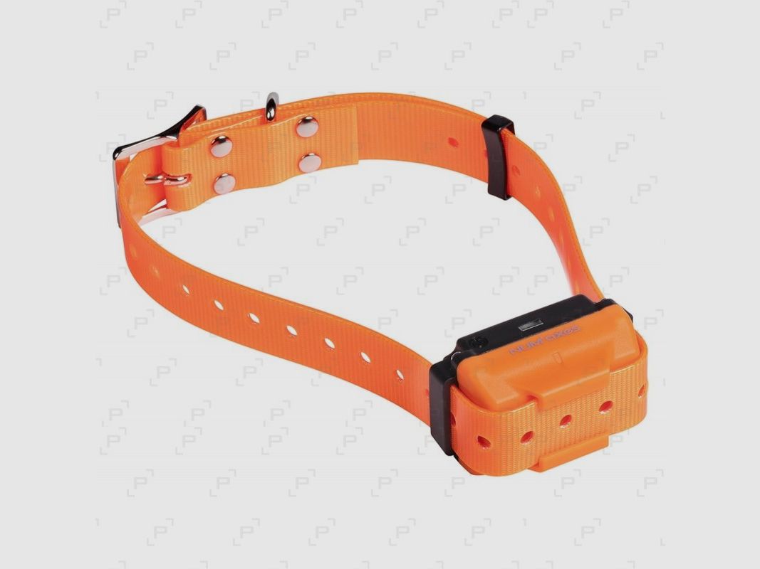Pack Halsband zur Ausbildung NUM’AXES CANICOM R-800, Bild 3 von 4