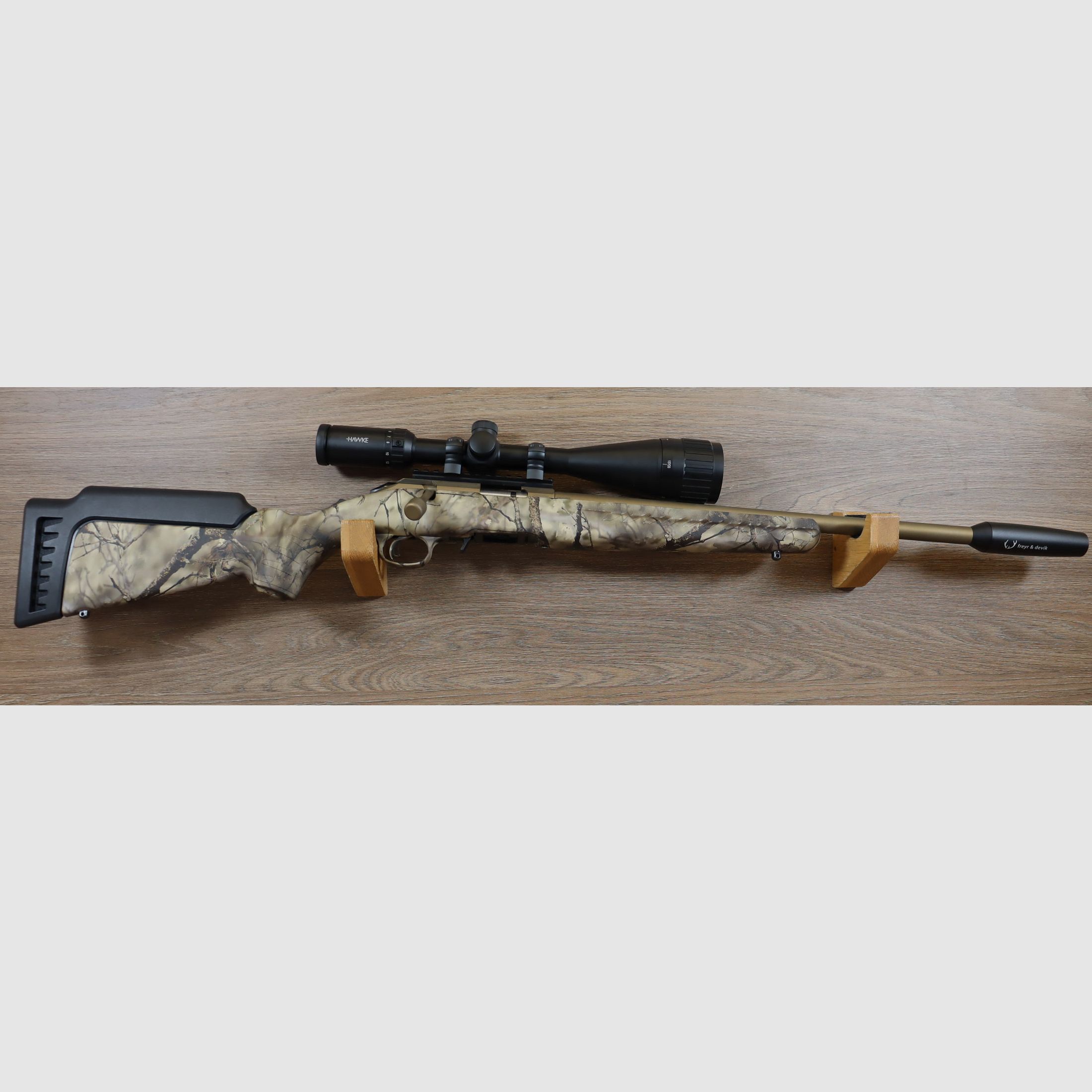 Carabine American Rimfire + Lunette + silencieux, image 1 sur 2