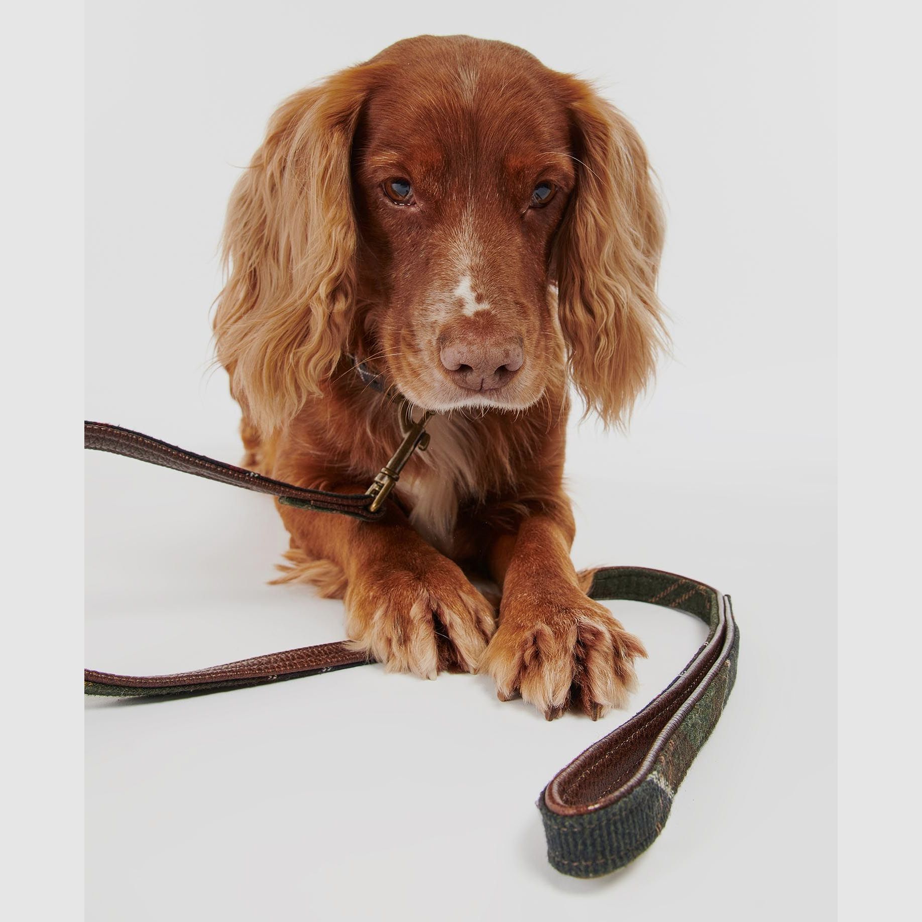 Barbour Hundeleine Tartan