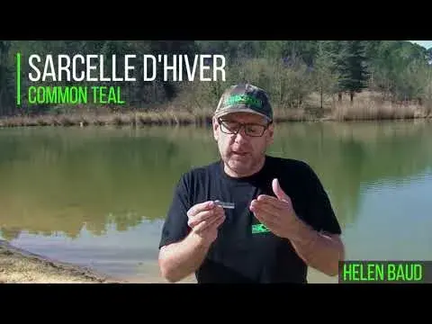 Appeau Sarcelle d'Hiver Mâle Helen Baud, image 14 sur 14