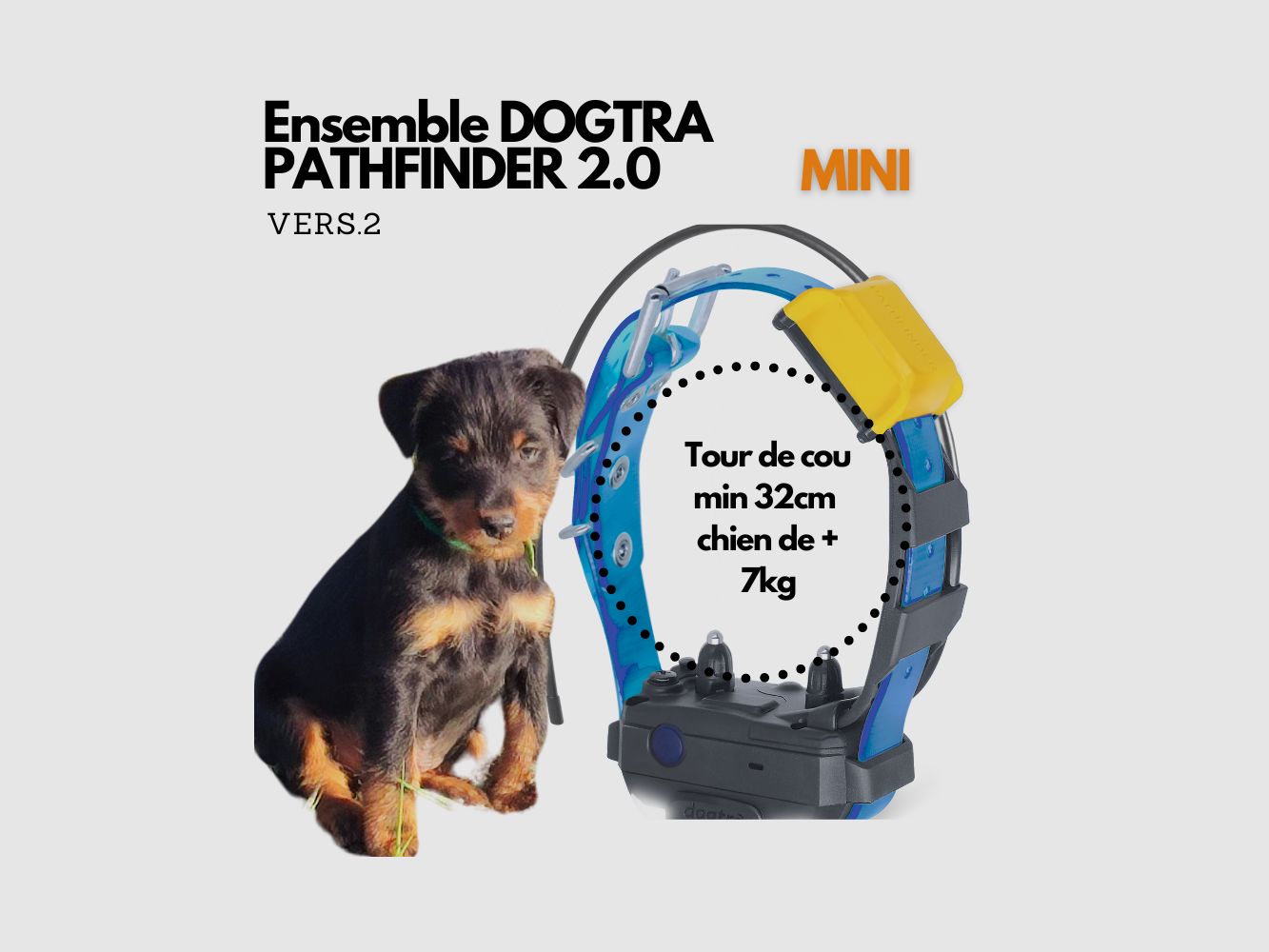 EXTRA ENSEMBLE PATHFINDER 2.0 MINI : FÜR KLEINE HUNDE, Bild 2 von 8