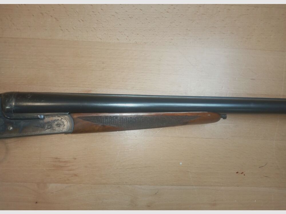 Geco Aigle