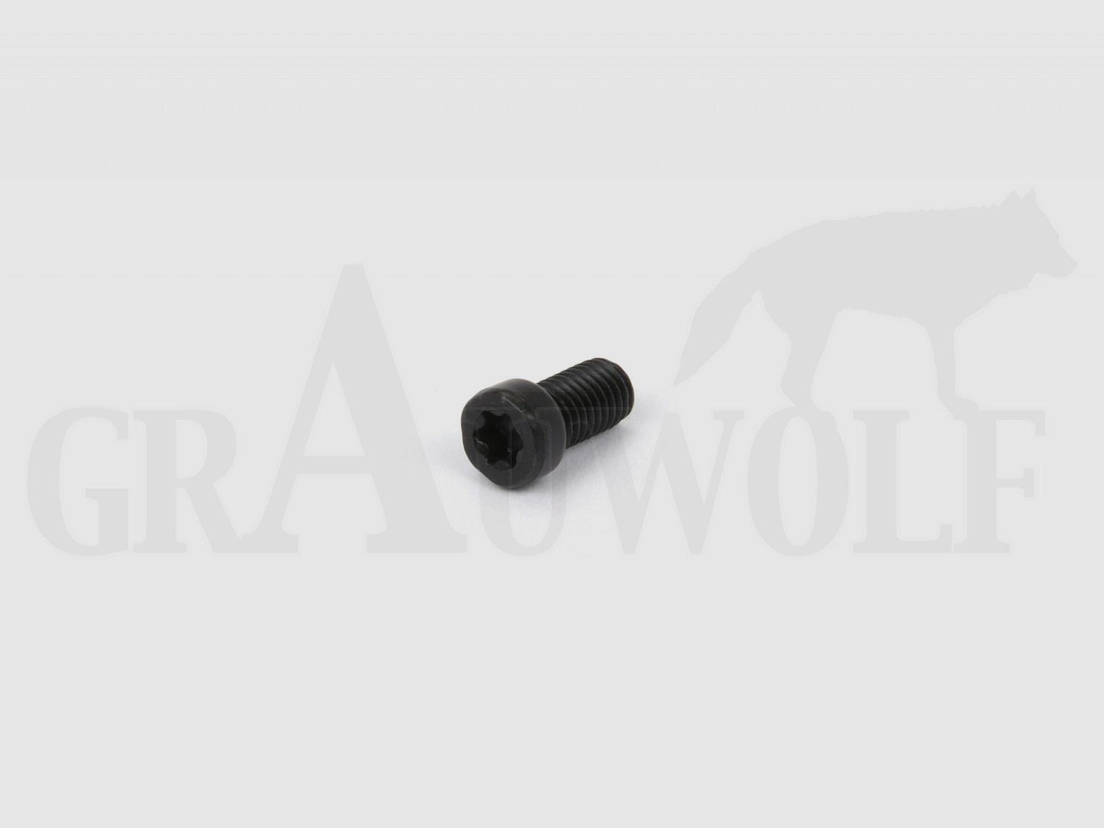Recknagel US Zylinderschrauben mit Innenvielzahn für Basen UNS 6-48 x 1/4" 1 Stück