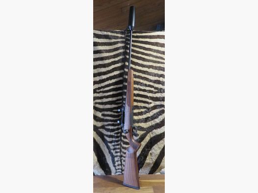 Carabine STEEL ACTION HM Bois cal.300wm canon 61 cm + montage + silencieux