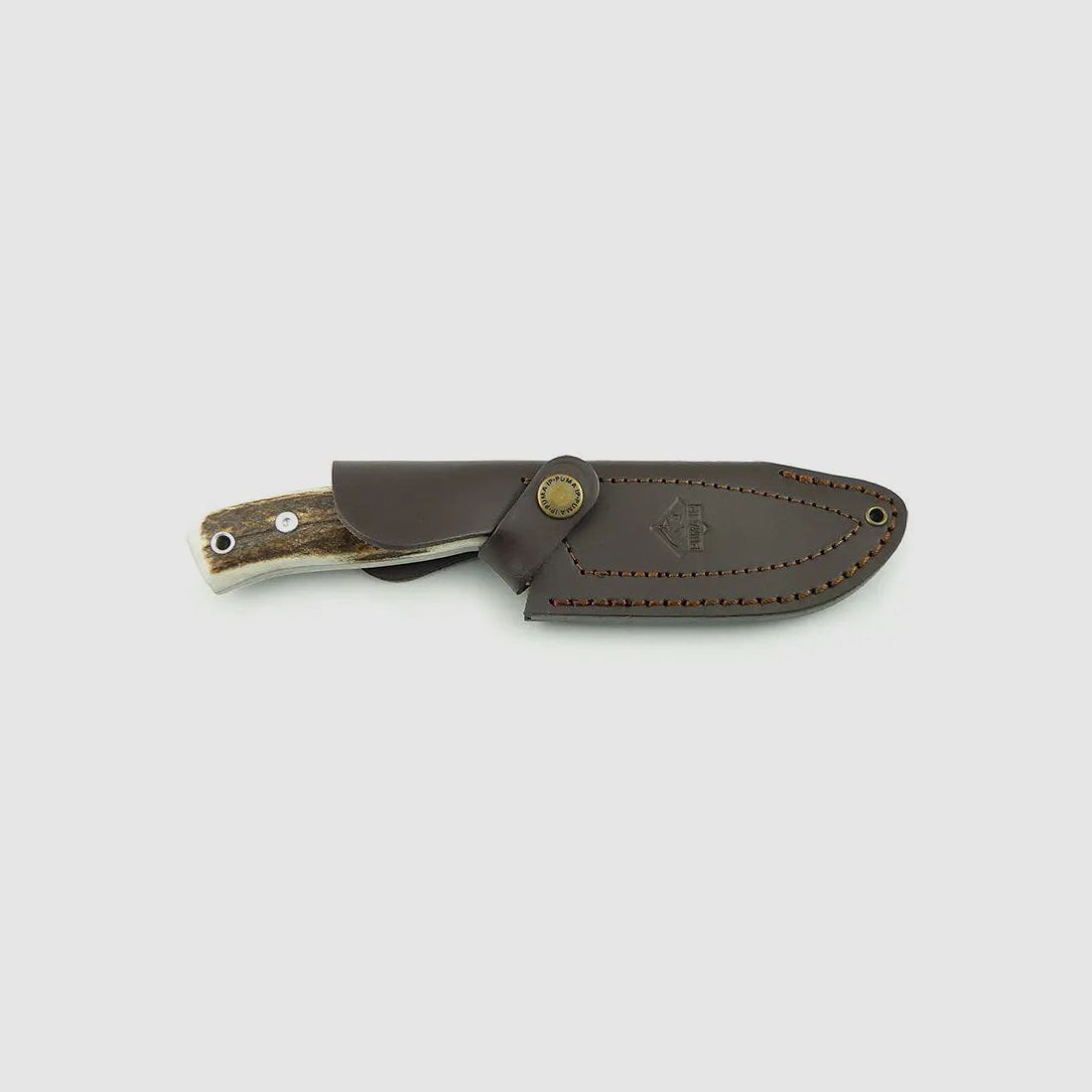 PUMA IP cervato, cerf