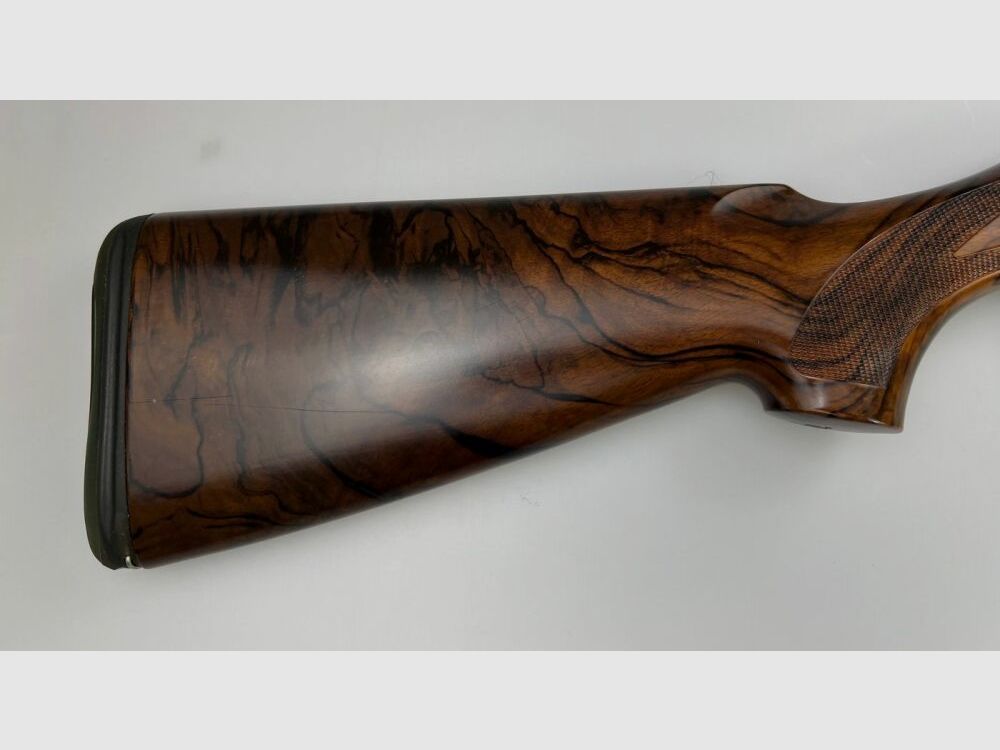 Beretta AL 391 Teknys