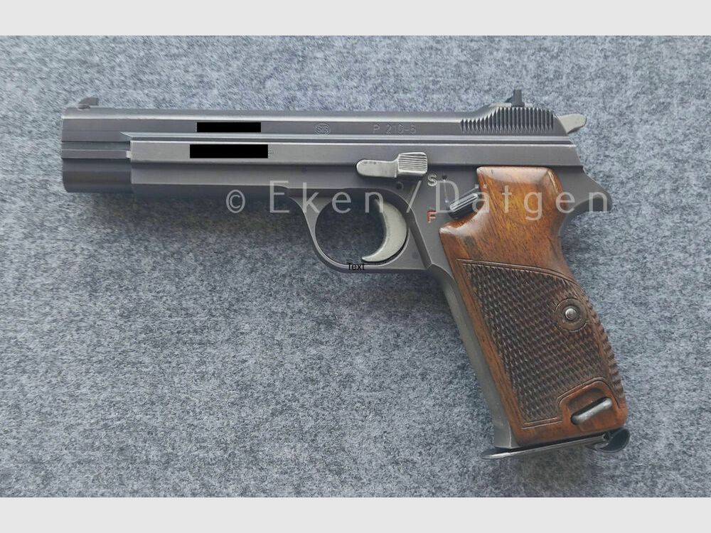 SIG P210-6