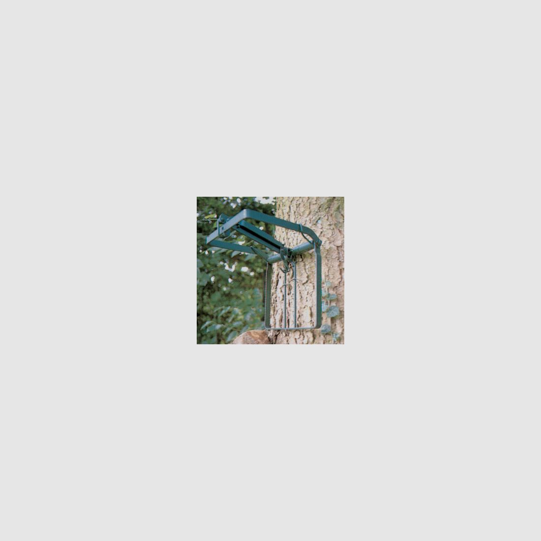 Tree trap & nutria trap