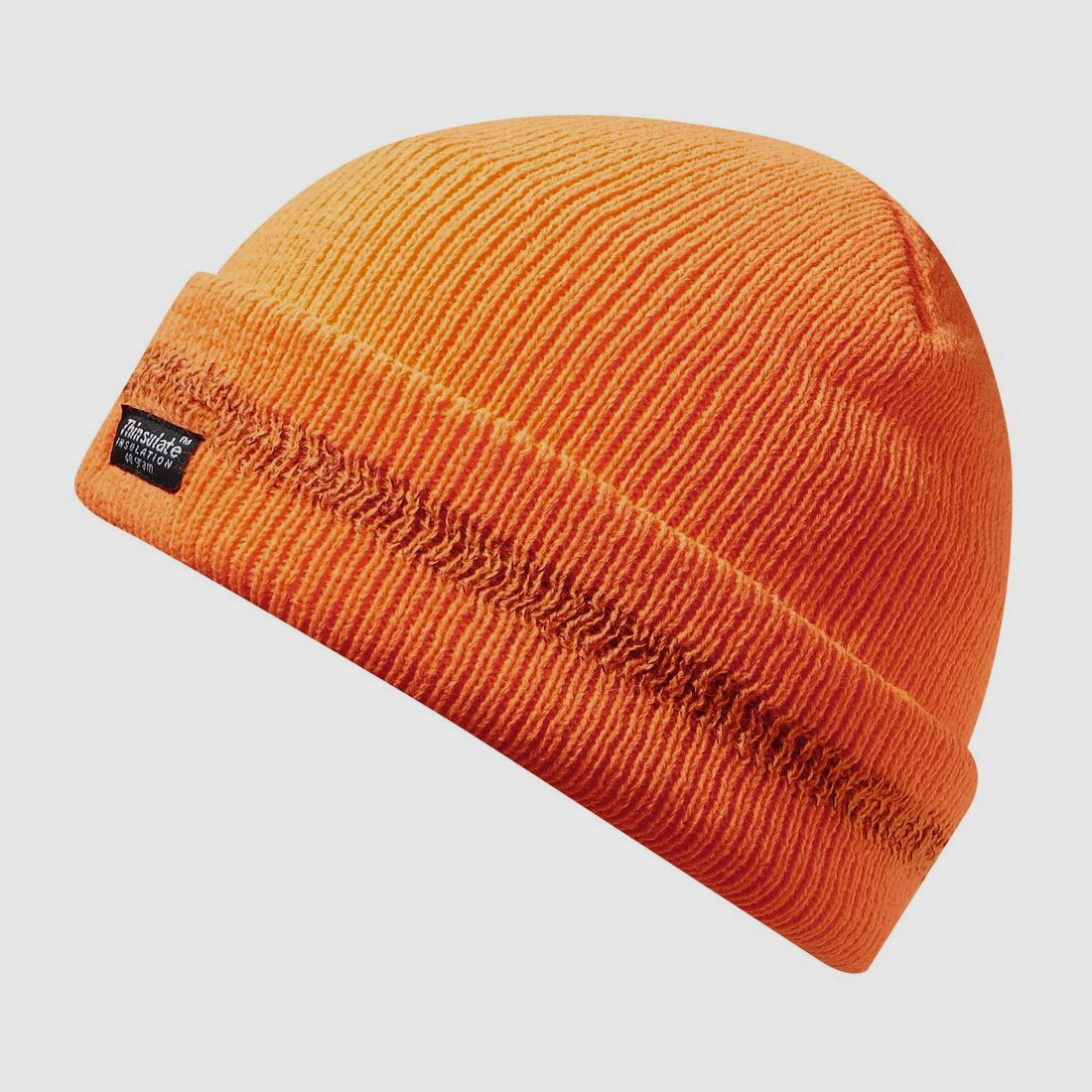 Thinsulate knitted hat