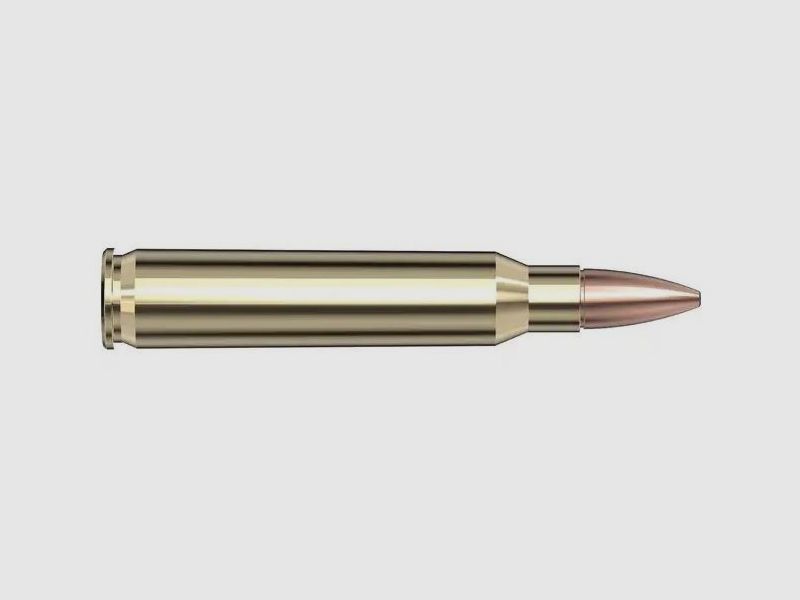 HORNADY FRONTIER .223 Rem FMJ 55 gr Munition, Bild 2 von 2